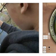 Harvard’s EcoMOBILE app includes a “submarine” tool, which lets students examine microscopic pond life, helping them to understand that ecosystems involve non-obvious causes hard to detect with the naked eye.